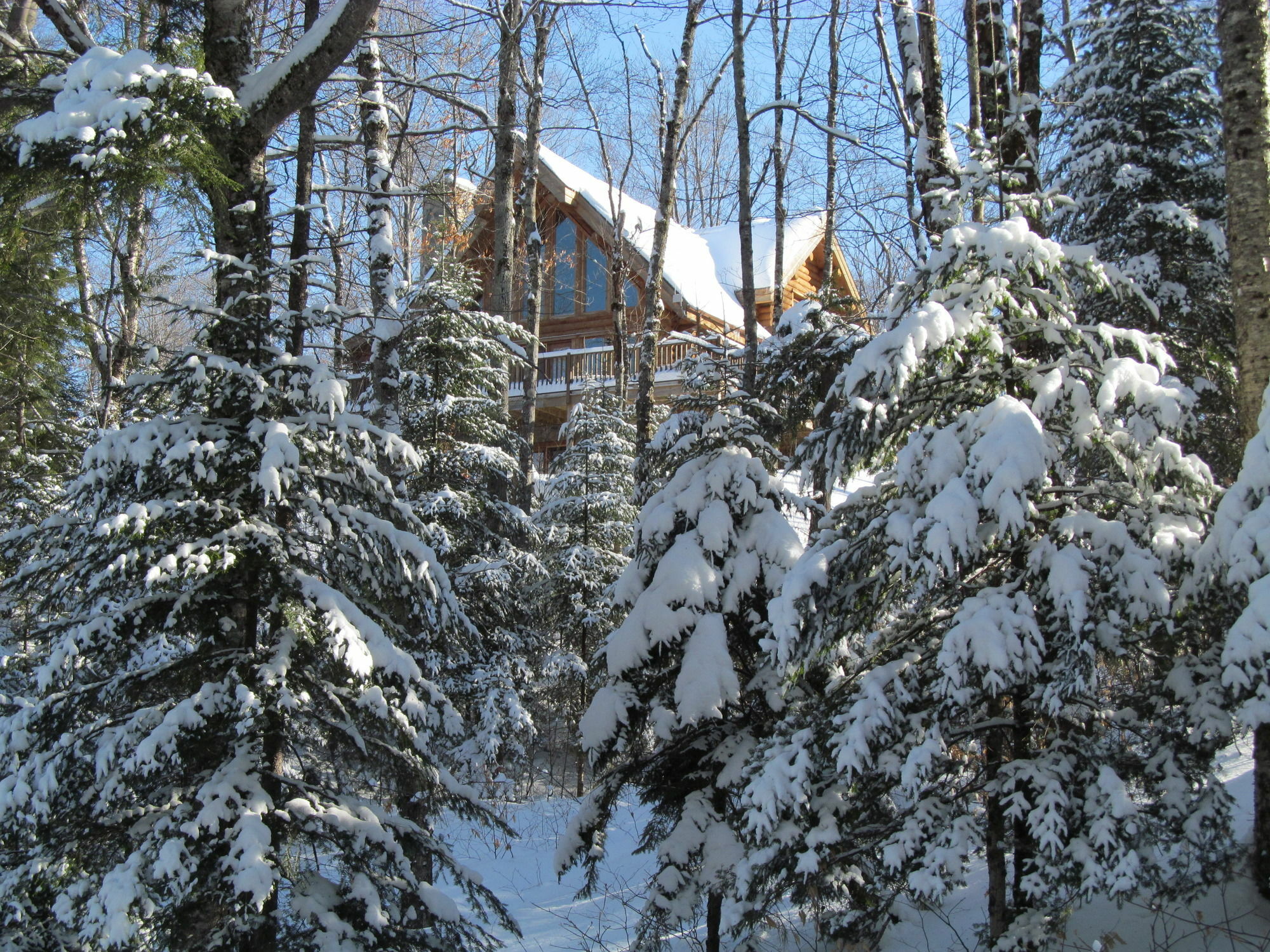 Blueberry Lake Resort Labelle Zewnętrze zdjęcie